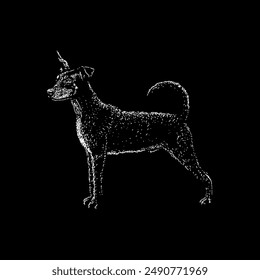 german pinscher hand drawing vector isolated on black background.