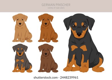 German pinscher puppy clipart. Different poses, coat colors set.  Vector illustration