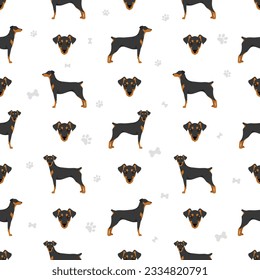 German pinscher seamless pattern. Different poses, coat colors set.  Vector illustration