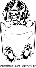 German pointer - Dog owner pet lover EPS realistic art dog in pocket shirt funny and cute theme