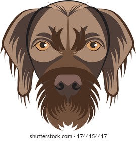 German Pointer Dog Vector Color Illustration 