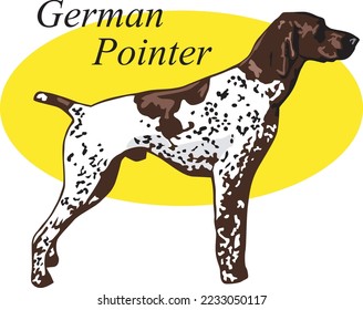 German Pointer Dog Vector Illustration