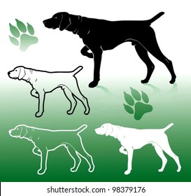 German Pointer Dog - Vector Illustration