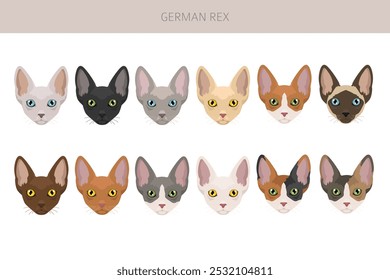 German Rex cat clipart. All cat breeds characteristics infographic. Vector illustration