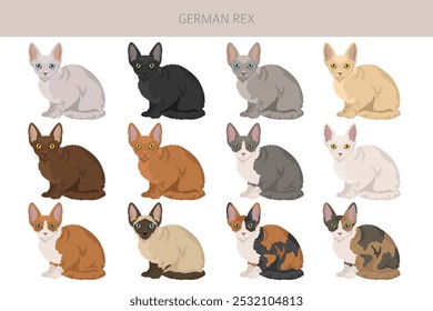 German Rex cat clipart. All cat breeds characteristics infographic. Vector illustration