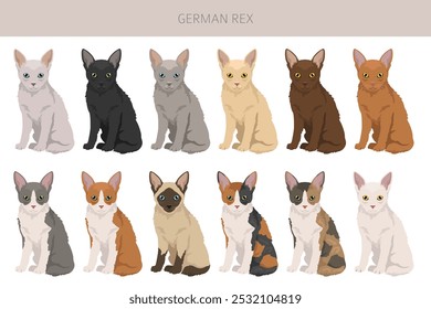 German Rex cat clipart. All cat breeds characteristics infographic. Vector illustration