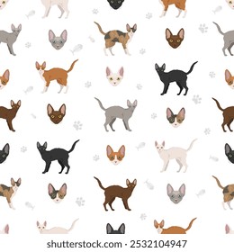 German Rex cat seamless pattern. All cat breeds characteristics infographic. Vector illustration