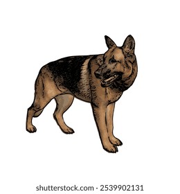 German Shepard dog animal ilustration isolated vector design template 