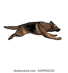 German Shepard dog animal ilustration isolated vector design template 