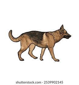 German Shepard dog animal ilustration isolated vector design template 