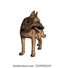 Plantilla de diseño de Vector aislado de ilustración de perro de pastor alemán 