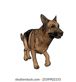 German Shepard dog animal ilustration isolated vector design template 