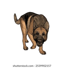 German Shepard dog animal ilustration isolated vector design template 