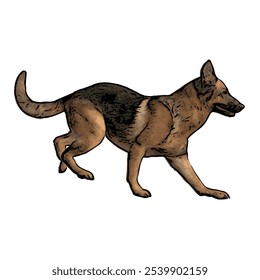 Plantilla de diseño de Vector aislado de ilustración de perro de pastor alemán 