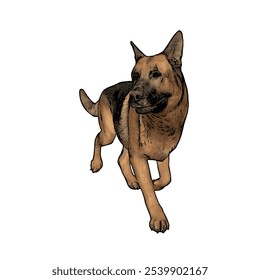 Plantilla de diseño de Vector aislado de ilustración de perro de pastor alemán 