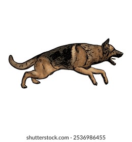 German Shepard dog animal vector ilustration isolated design on white background 