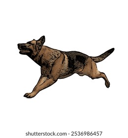 German Shepard dog animal vector ilustration isolated design on white background 