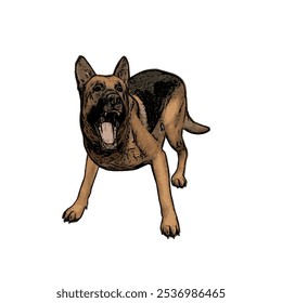 German Shepard dog animal vector ilustration isolated design on white background 