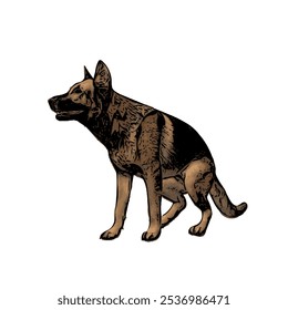 German Shepard dog animal vector ilustration isolated design on white background 