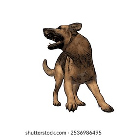 German Shepard dog animal vector ilustration isolated design on white background 