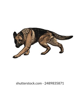 German Shepard dog vector ilustration design template 