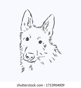 ilustración vectorial germano, dibujo retrato en líneas negras. retrato de cabeza de perro de un dibujo vectorial de Sheepdog