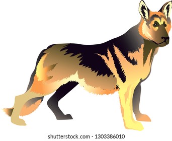 German Sheperd Dog, Herder - Vector Illustration