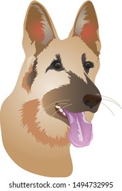 German Sheperd, Sheep Dog Head - Vector