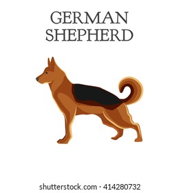 German Shepherd.