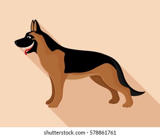 German shepherd.