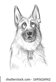 German shepherd asking for food or for going out - vetor illustration (Ideal for printing on fabric or paper, poster or wallpaper, house decoration)