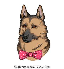 German Shepherd with bow. Hand drawn fashion Print for t-shirts and bags, poster or greeting card. Vector dog