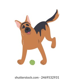 German shepherd breed puppy with open mouth waiting to play. Cute adult sheepdog with tennis ball. Cartoon canine domestic pet character. Doggy hand drawn flat vector illustration isolated on white