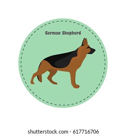 German Shepherd color flat icon for web and mobile design