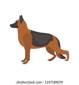 German Shepherd color vector icon. Flat design