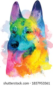 German Shepherd - colorful dog portrait. Watercolor hand drawn illustration converted into vector.