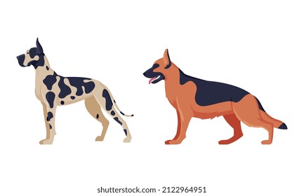 German Shepherd and Dalmatian Purebred Dog as Domestic Pet Animal in Standing Pose Side View Vector Set