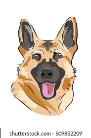 German shepherd dog