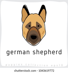 German Shepherd : Dog Breed Collection : Vector Illustration