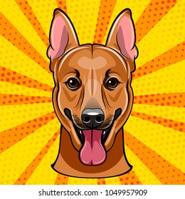 German Shepherd. Dog breed. Dog portrait. Dog muzzle, face. Vector illustration isolated on colorful background.