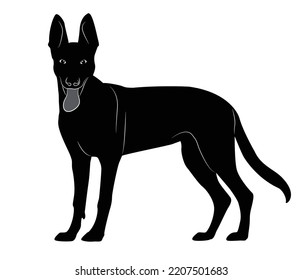 ilustración vectorial de raza de perro pastor alemán. Una silueta animal detallada de un perro mascota. Para los amantes de los shephard en todas partes. Silueta negra de altura completa de un perro.