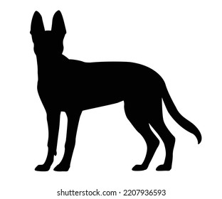 ilustración vectorial de raza de perro pastor alemán. Una silueta animal detallada de un perro mascota. Para los amantes de los shephard en todas partes. Silueta negra de altura completa de un perro.