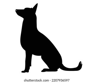 ilustración vectorial de raza de perro pastor alemán. Una silueta animal detallada de un perro mascota. Para los amantes de los shephard en todas partes. Silueta negra de altura completa de un perro.