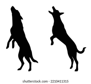 ilustración vectorial de raza de perro pastor alemán. Una silueta animal detallada de un perro mascota. Para los amantes de los shephard en todas partes. Silueta negra de altura completa de un perro.