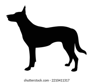 ilustración vectorial de raza de perro pastor alemán. Una silueta animal detallada de un perro mascota. Para los amantes de los shephard en todas partes. Silueta negra de altura completa de un perro.