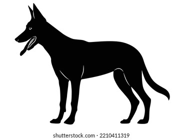 ilustración vectorial de raza de perro pastor alemán. Una silueta animal detallada de un perro mascota. Para los amantes de los shephard en todas partes. Silueta negra de altura completa de un perro.