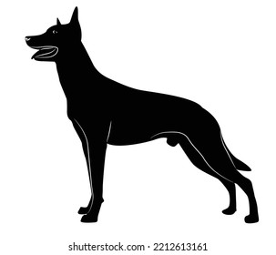 german shepherd dog breed vector illustration.A detailed animal silhouette of a pet dog. For shephard lovers every where. Black full height silhouette of a dog.