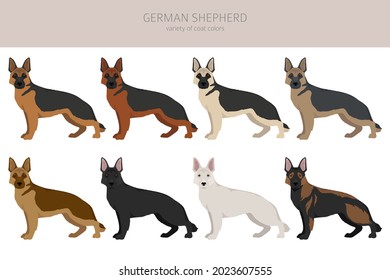 German shepherd dog  in different poses and coat colors clipart. Vector illustration