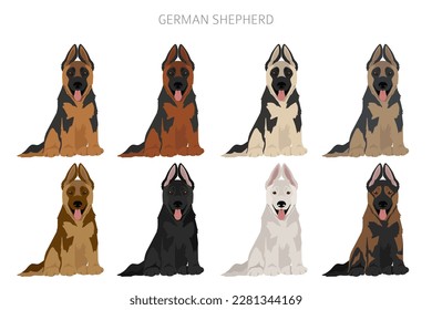 German shepherd dog  in different poses and coat colors clipart. Vector illustration