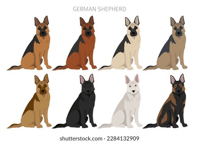 German shepherd dog  in different poses and coat colors clipart. Vector illustration